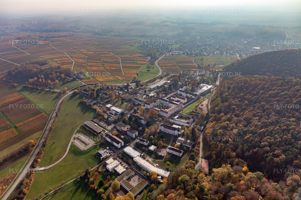 Luftbild: Pfalzklinikum für Psychiatrie in Klingenmünster im Bundesland Rheinland-Pfalz in Deutschland. – Foto: IMG_123751.jpg vom 07.11.2020 durch Werner Riehm/FLY-FOTO.de – Auflösung des Originals: 5310 x 3540 px