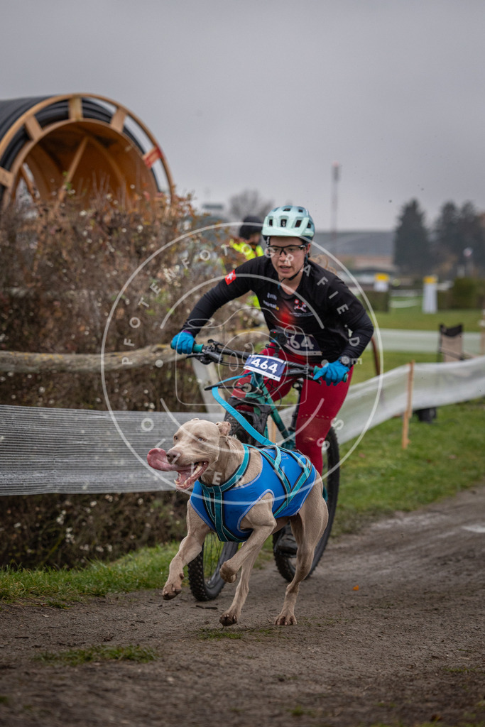CaniXpix_0L8A1709 | Hundefotografie, Tierfotograf, Pfotenfotografie, Fotoshooting Hund, Hunde Portrait, Hundesport, Hundeportraits, Heideshooting, Hunde, Sportfotograf, Hundefotograf, Turnierhundsport, THS,  - Realisiert mit Pictrs.com