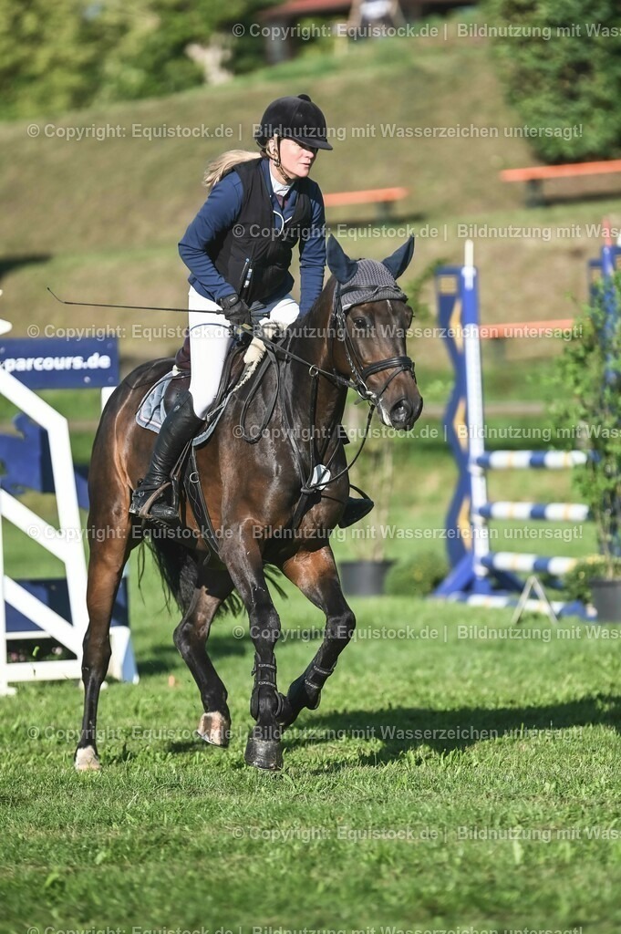 20230908_14-15_Springpferde-A_0052 | equistock