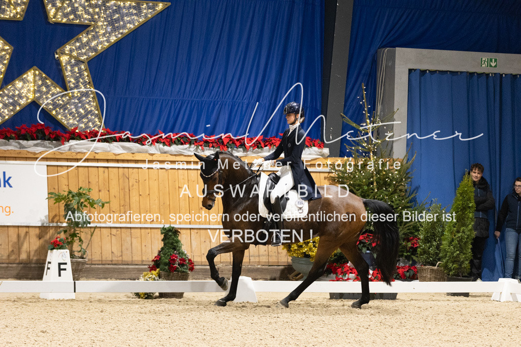 126A0050 | jasminmetznerfotografie