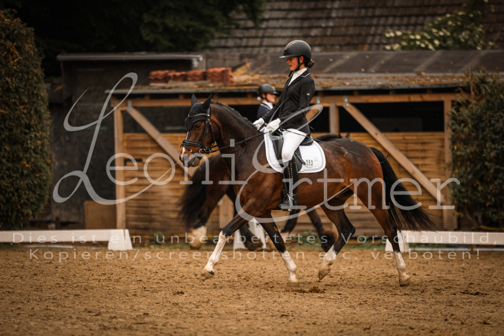 DoDrA00492 | Leoni Ertmer Photography - Realisiert mit Pictrs.com