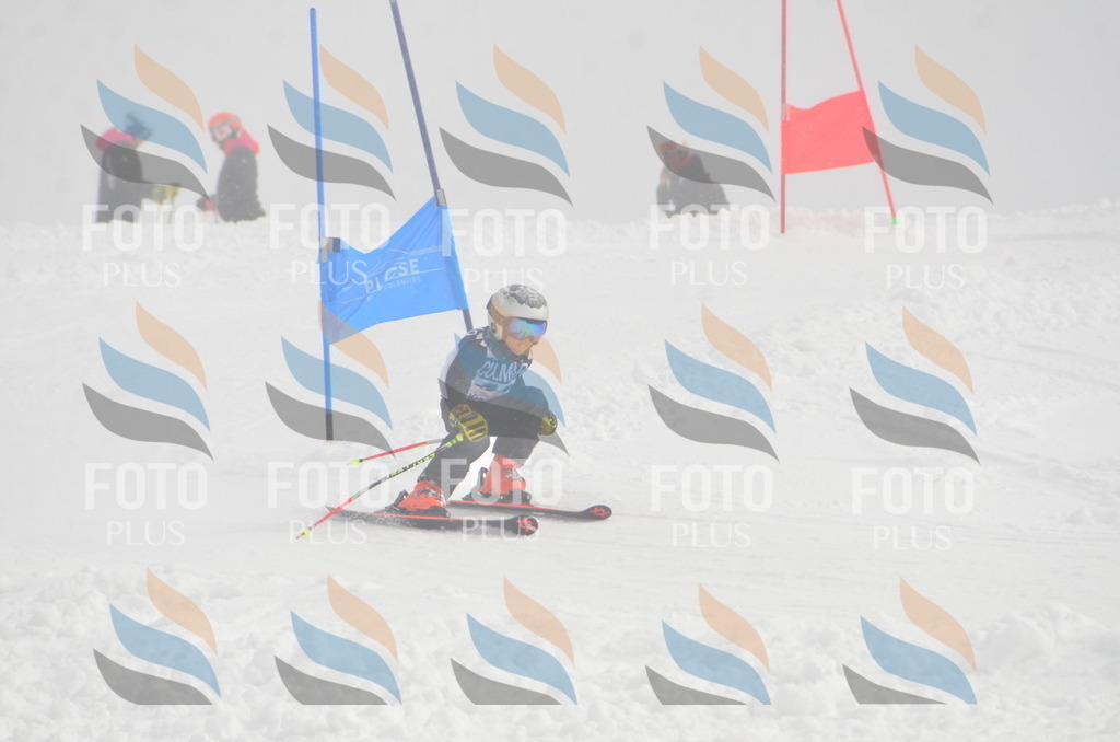 A5345 | holidayphoto