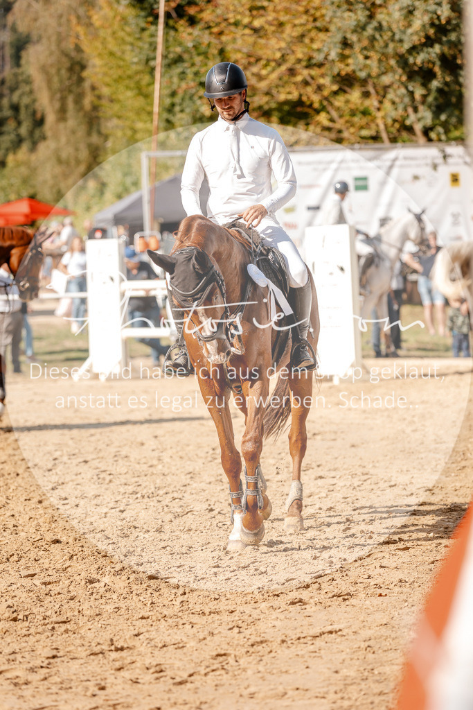 3I6A4684 | Stimmungsvolle Portraits und Reitsportfotografie im Ruhrgebiet und im Münsterland.

Pferdefotografie, Hundefotografie, Tierfotografie, Reportagen, Portraits von Tier und Mensch, Turnierfotografie in Bochum, Recklinghausen, Marl, Haltern am See, Dülmen.. - Realisiert mit Pictrs.com