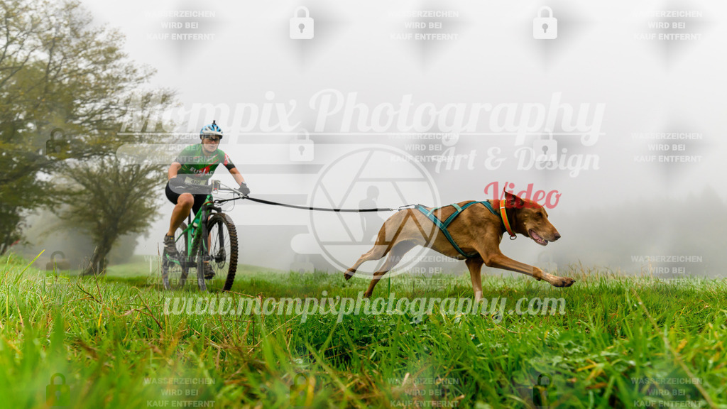 MompixPhotography_20TSB_E5_Bike-109 | PayLife