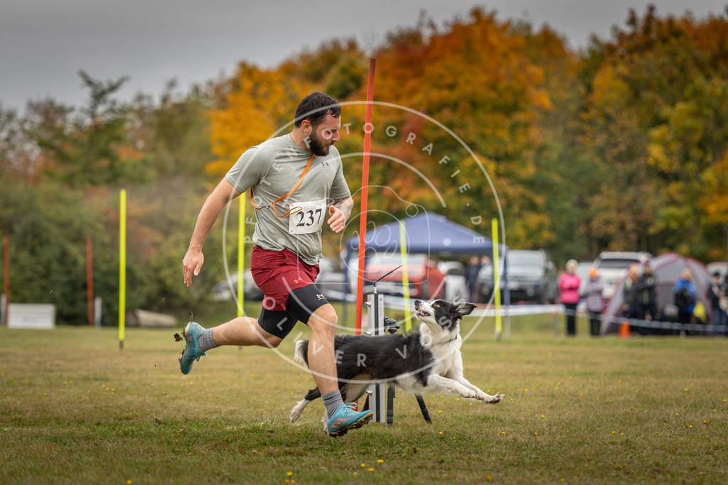 Pfotenfotografie_DV3A5308 | Hundefotografie, Tierfotograf, Pfotenfotografie, Fotoshooting Hund, Hunde Portrait, Hundesport, Hundeportraits, Heideshooting, Hunde, Sportfotograf, Hundefotograf, Turnierhundsport, THS,  - Realisiert mit Pictrs.com