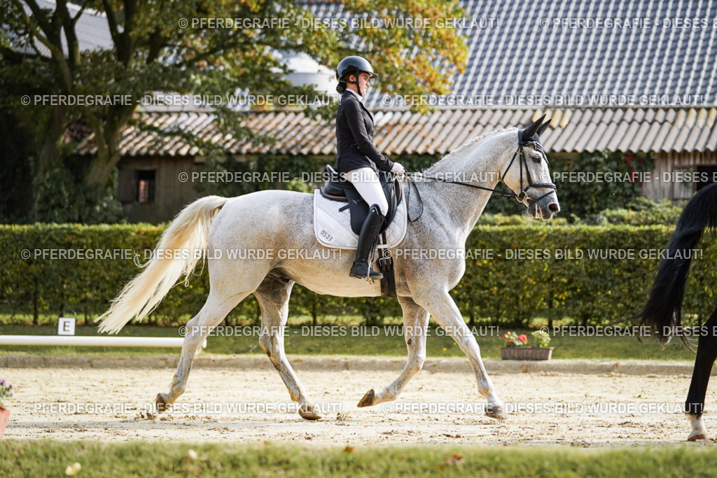 DSC04194 | Pferdegrafie