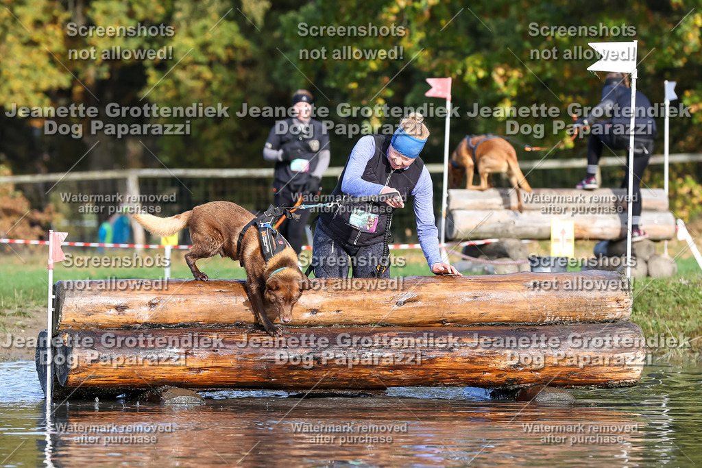 Dog Paparazzi - Strongdog 10-25-8400 | Dog Paparazzi Jeanette Grottendiek Fotografie & Videografie - Realisiert mit Pictrs.com