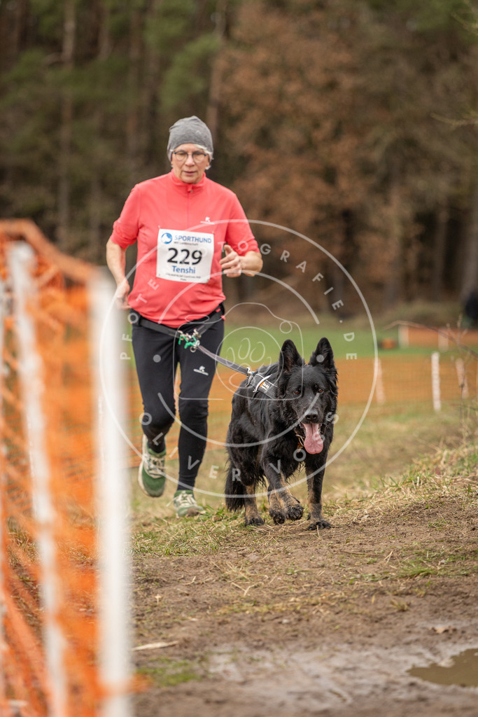 DV3A3056 | Hundefotografie, Tierfotograf, Pfotenfotografie, Fotoshooting Hund, Hunde Portrait, Hundesport, Hundeportraits, Heideshooting, Hunde, Sportfotograf, Hundefotograf, Turnierhundsport, THS,  - Realisiert mit Pictrs.com