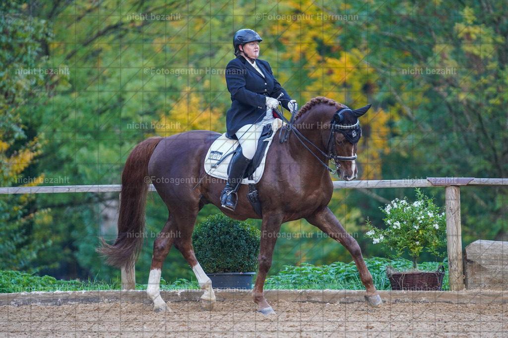 20221007-FAH00644 | Diessen am Ammersee, 2022, Dressur- und Springturnier, Reitsportbilder, Turnierfotografen Bayern, Pferdefotografen, Fotoagentur Herrmann, Turnierbilder