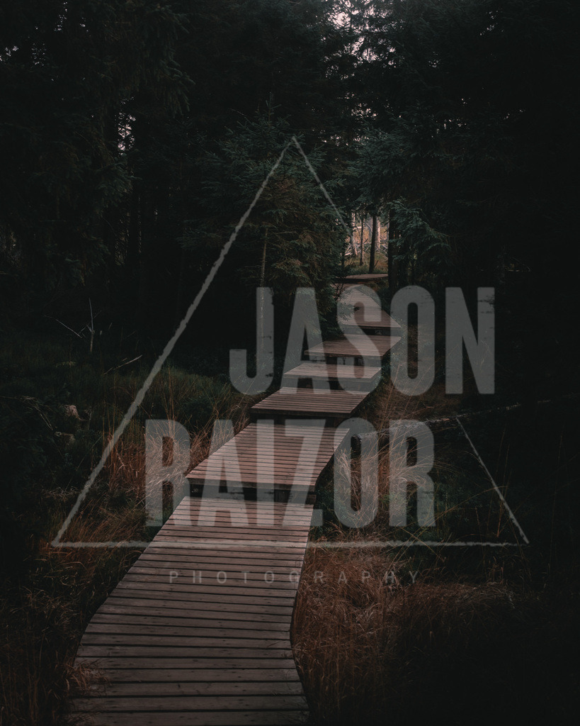 Pfad ins Unbekannte | jasonraizor - Realisiert mit Pictrs.com