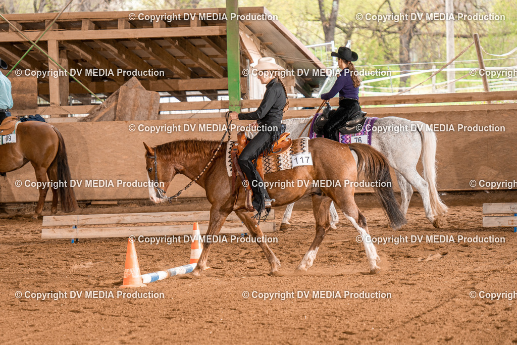 BAL00658 | dv-media-shop - Realisiert mit Pictrs.com