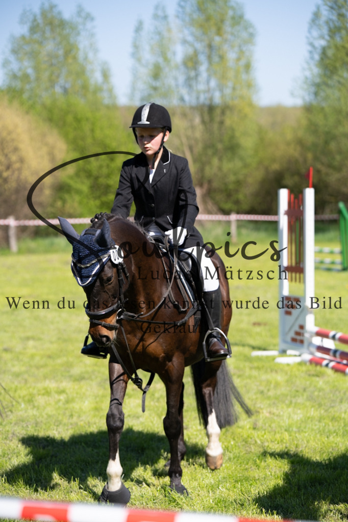 A7V01403 | Pferdefotograf