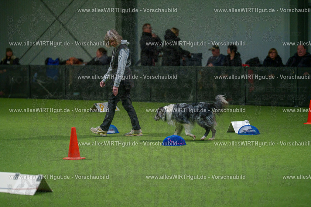 7R504457 | Professionelle Tierfotografie in Mönchengladbach von Daniel Wirth (allesWIRTHgut). Liebevolle & natürliche Bilder von Hunden & Katzen für unvergessliche Erinnerungen.