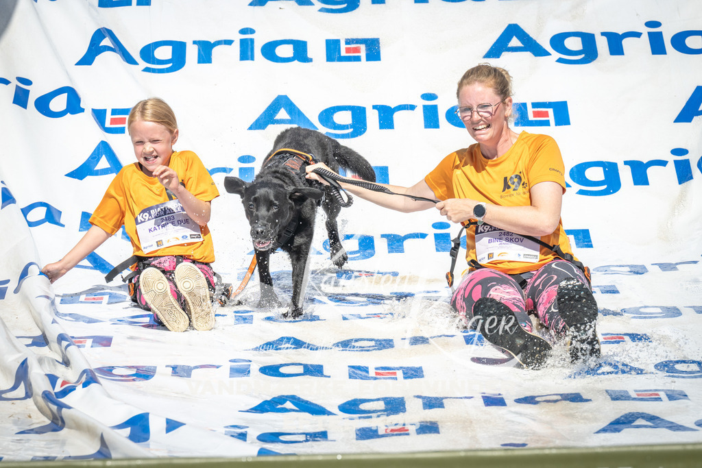 1454_ZZ96351 | kk-dogfotos