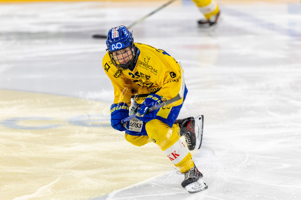 EHCB vs HCD 20262703-418613760 | Sportbilder, Sportfotograf, Hochzeits- und Eventfotografin, Flugshows, Portraits und Tiershooting, Aviation, Downhill, Nationalleague, Swissleague, International