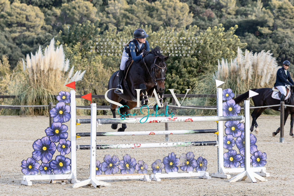 IMG_0623 | s-jay-photography - Realisiert mit Pictrs.com