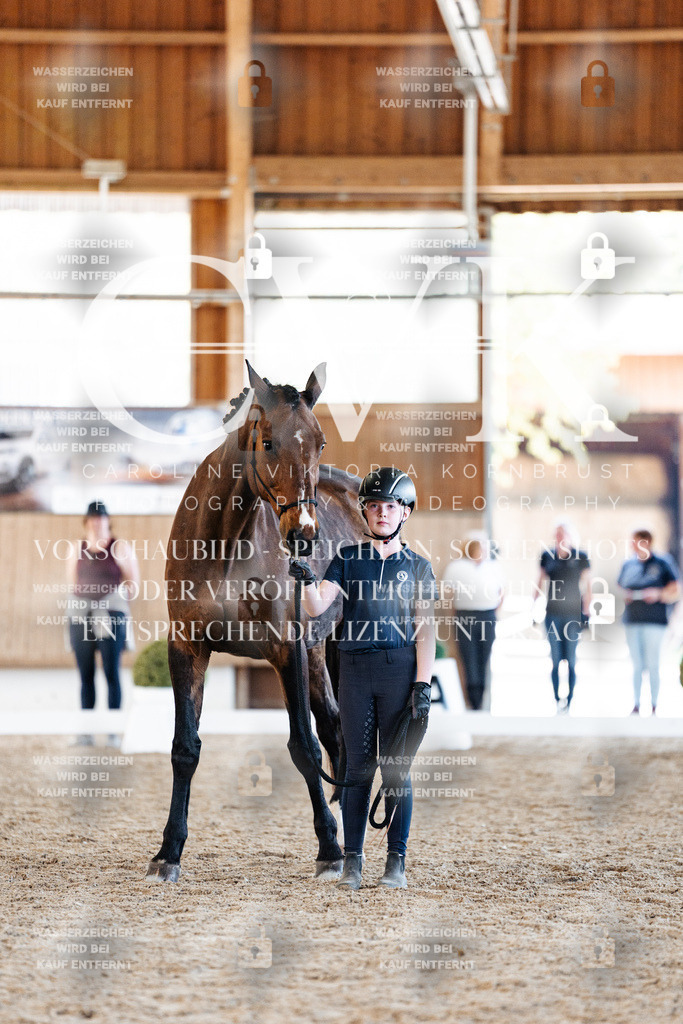 CK906484 | Turnierfotografie Pferdefotografie Trier Rheinland-Pfalz Pferdesport Reitsport Tierfotografie Sportfotografie Pferdevideo Pferdevideografie Equestrianvideography equestrianphotography  - Realisiert mit Pictrs.com