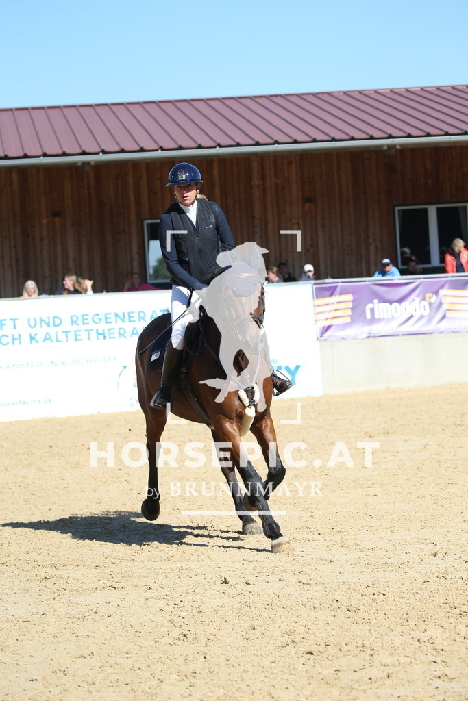 DL2Q2775 | Willkommen bei Brunnmayr - Design & Fotografie – Ihrem Spezialisten für Reitturniere und Pferdeveranstaltungen in Oberösterreich, Salzburg und Bayern! Seit über 17 Jahren sind wir leidenschaftlich dabei.