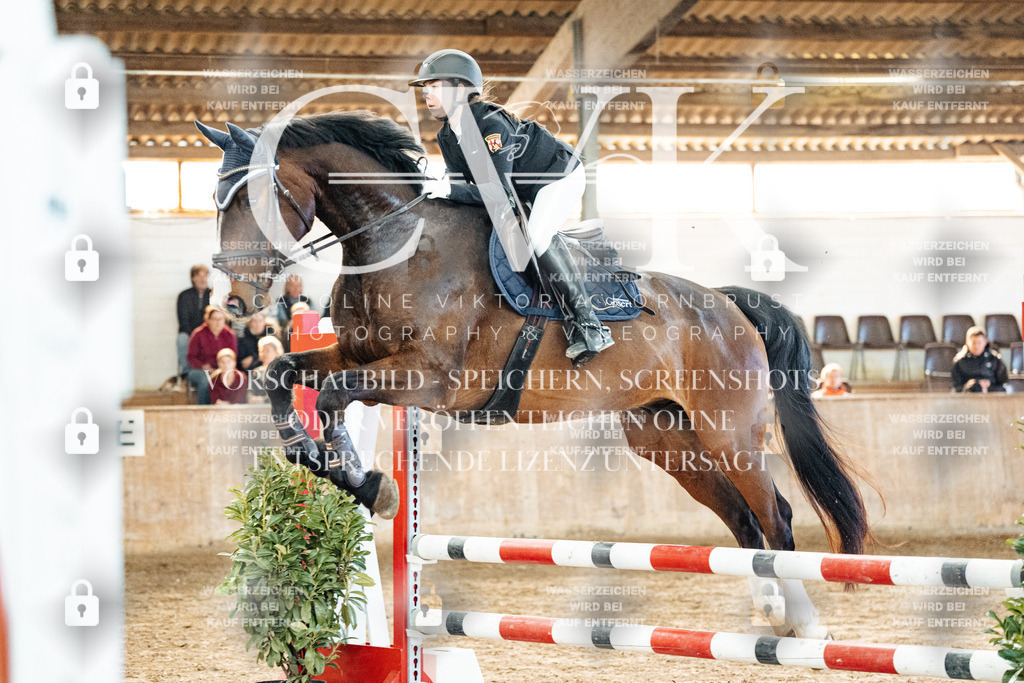 CK904443 | Turnierfotografie Pferdefotografie Trier Rheinland-Pfalz Pferdesport Reitsport Tierfotografie Sportfotografie Pferdevideo Pferdevideografie Equestrianvideography equestrianphotography  - Realisiert mit Pictrs.com