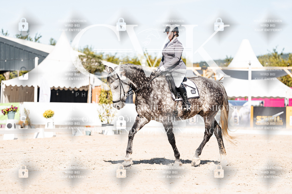 CK908258 | Turnierfotografie Pferdefotografie Trier Rheinland-Pfalz Pferdesport Reitsport Tierfotografie Sportfotografie Pferdevideo Pferdevideografie Equestrianvideography equestrianphotography  - Realisiert mit Pictrs.com