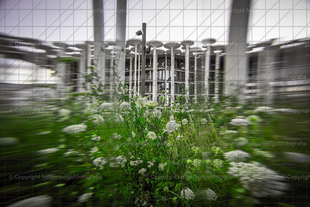 20260703204423Z63_5387 | Kaufen sie online außergewöhnliche Fotografien auf Leinwand Acrylglas Fotoprint Aludibond von holgerweigeltfotografie - Realisiert mit Pictrs.com