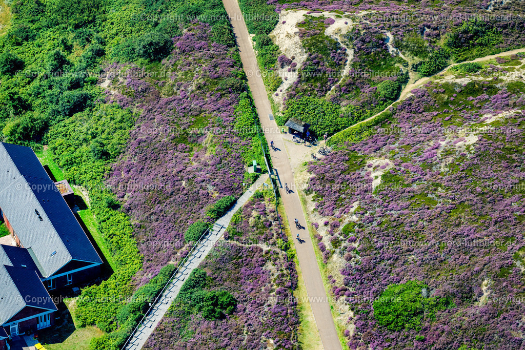 Sylt_Kampen_Radweg_Radfahrer_Kindererholungsheim_Der_Hamburger_Kind_ELS_4146130825 | KAMPEN (SYLT) 13.08.2025 Streckenführung des Rad- Weges an der Lister Straße in Kampen (Sylt) auf der Insel Sylt im Bundesland Schleswig-Holstein, Deutschland. // Route of the cycle path on Lister Strasse in Kampen (Sylt) on the island of Sylt in the federal state of Schleswig-Holstein, Germany. Foto: Martin Elsen