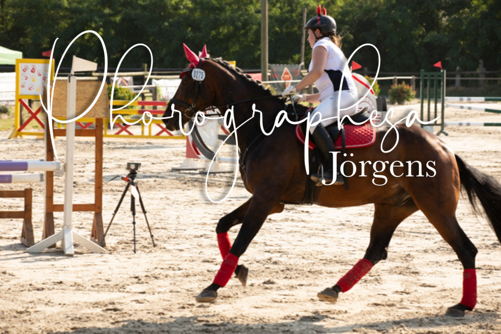 IMG_3551 | photographesa-joergens - Realisiert mit Pictrs.com