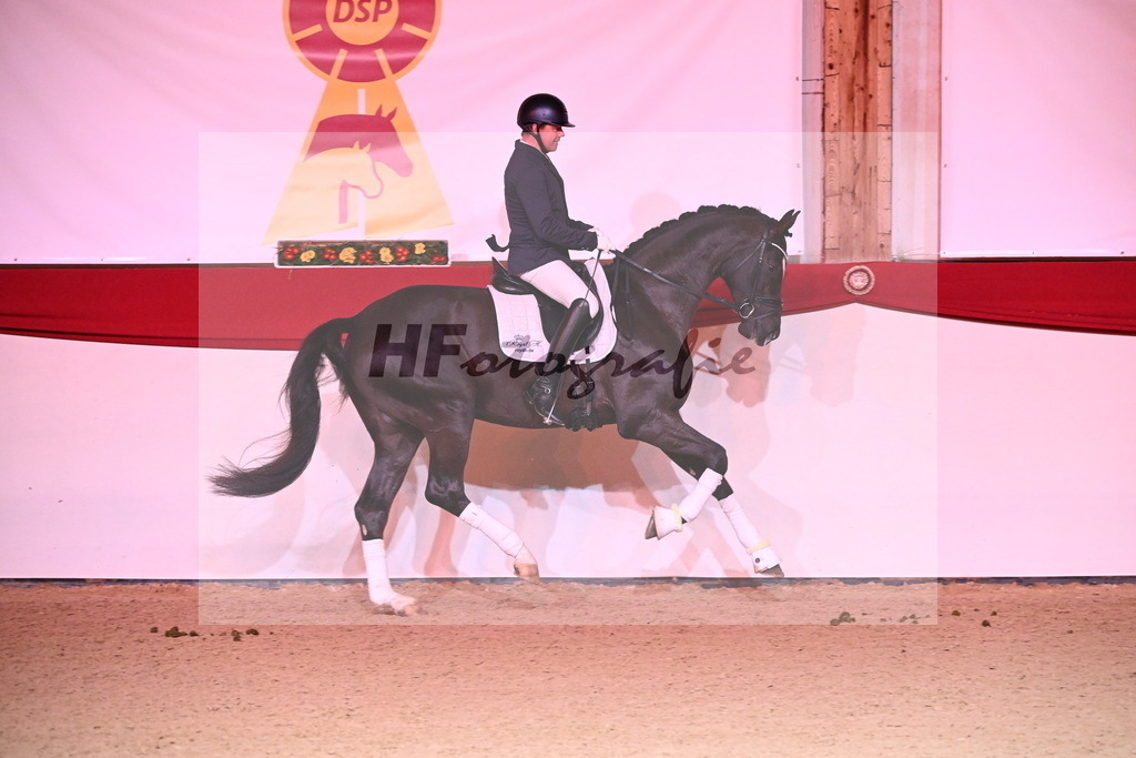 Bonfolio_Gerdes_2254505 | hf-fotografie - Realisiert mit Pictrs.com