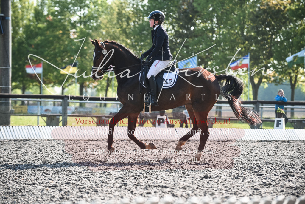 DSC_8307 | Pferde- und Turnierfotografie in Westsachsen. Pferdeportraits, Auftragszeichnungen und intuitive Kunst.