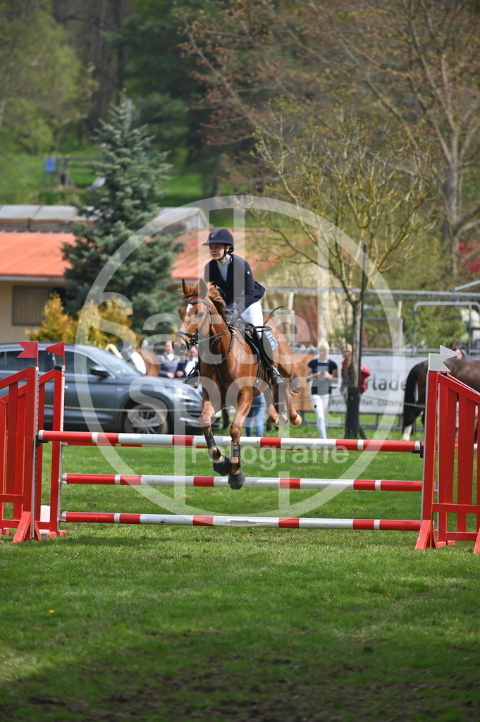 DSC_1877 | sattelsport - Realisiert mit Pictrs.com