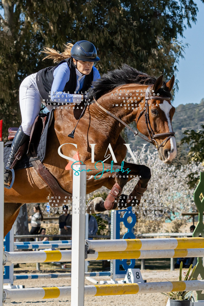 IMG_0535 | s-jay-photography - Realisiert mit Pictrs.com