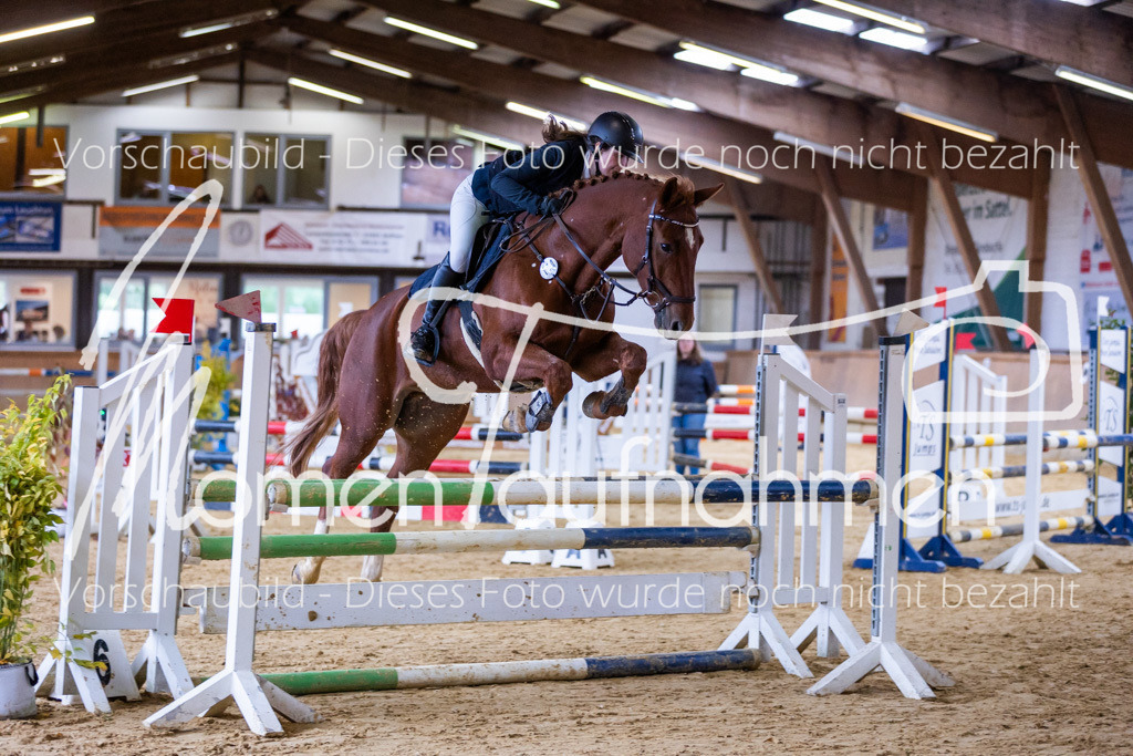 Sth-A-Springen-011 | MomenTaufnahmen Pferdesportfotos