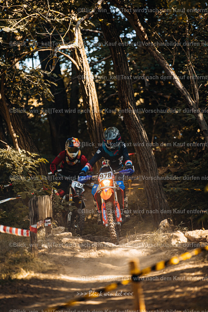 E68A5611 | blick_win_kel