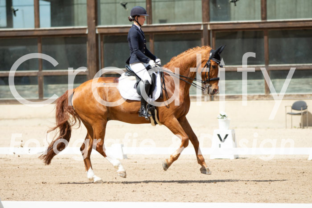 IMG_5686 | Creatify Fotografie