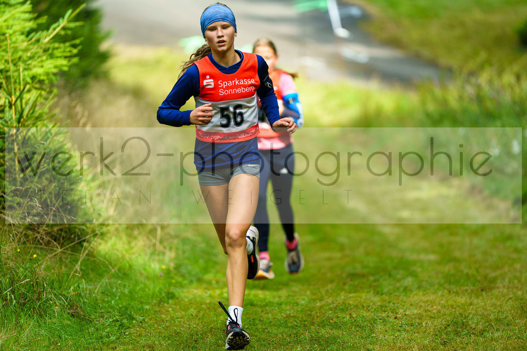 Komplex Cross Scheibe-Alsbach | Biathlonanlage "Am Rußtiegel" Scheibe-Alsbach am 7. September 2025