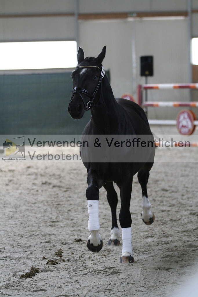 _MG_9506 | equestrian-live-com
