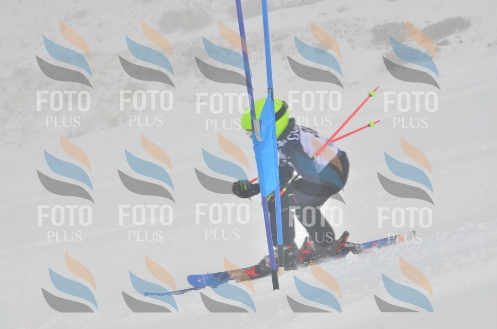 A5300 | holidayphoto