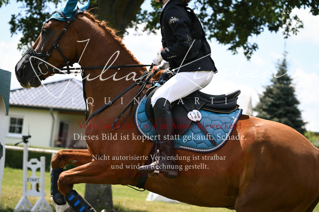 DSC_9267 | Pferde- und Turnierfotografie in Westsachsen. Pferdeportraits, Auftragszeichnungen und intuitive Kunst.