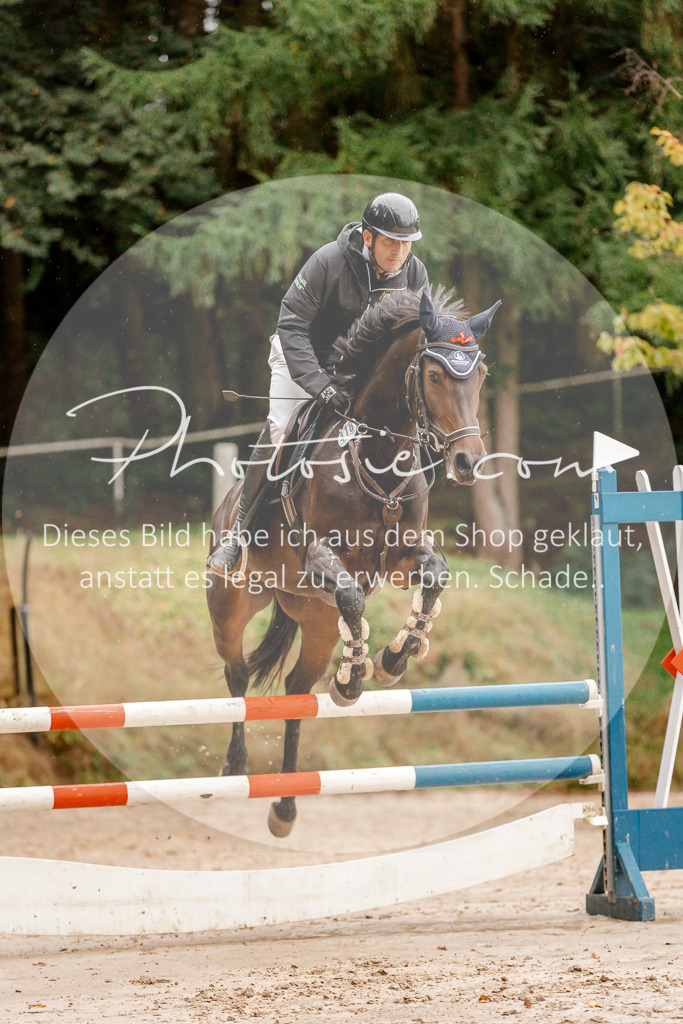 3I6A5884 | Stimmungsvolle Portraits und Reitsportfotografie im Ruhrgebiet und im Münsterland.

Pferdefotografie, Hundefotografie, Tierfotografie, Reportagen, Portraits von Tier und Mensch, Turnierfotografie in Bochum, Recklinghausen, Marl, Haltern am See, Dülmen.. - Realisiert mit Pictrs.com