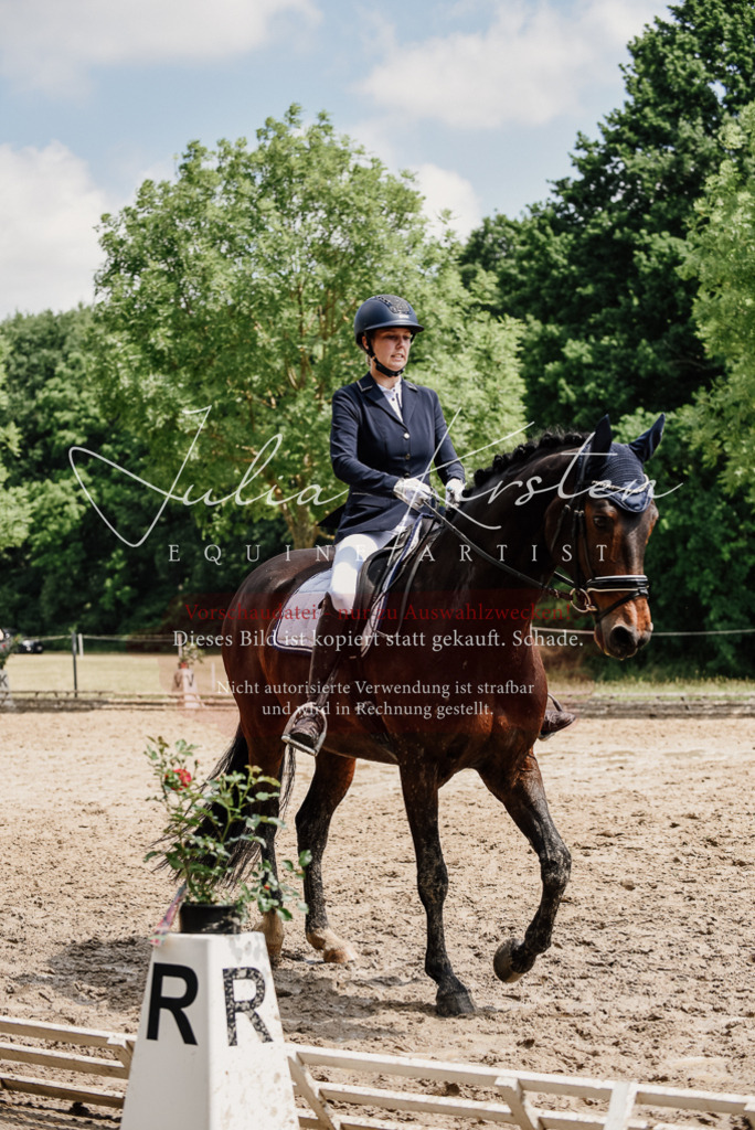 DSC_1484 | Pferde- und Turnierfotografie in Westsachsen. Pferdeportraits, Auftragszeichnungen und intuitive Kunst.