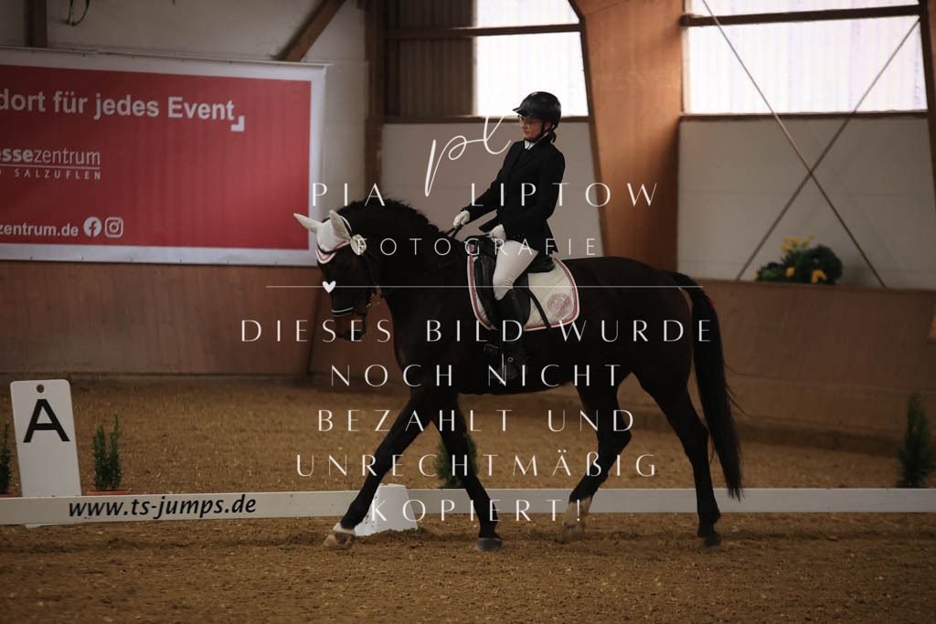 IMGT9971 | pl-fotografie