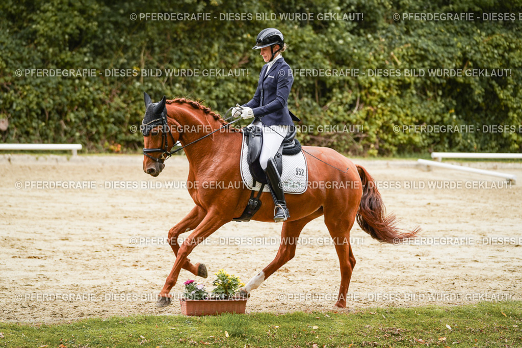 DSC09983 | Pferdegrafie