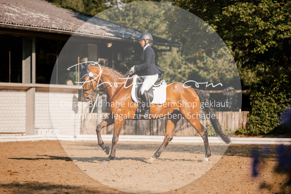3I6A8665 | Stimmungsvolle Portraits und Reitsportfotografie im Ruhrgebiet und im Münsterland.

Pferdefotografie, Hundefotografie, Tierfotografie, Reportagen, Portraits von Tier und Mensch, Turnierfotografie in Bochum, Recklinghausen, Marl, Haltern am See, Dülmen.. - Realisiert mit Pictrs.com