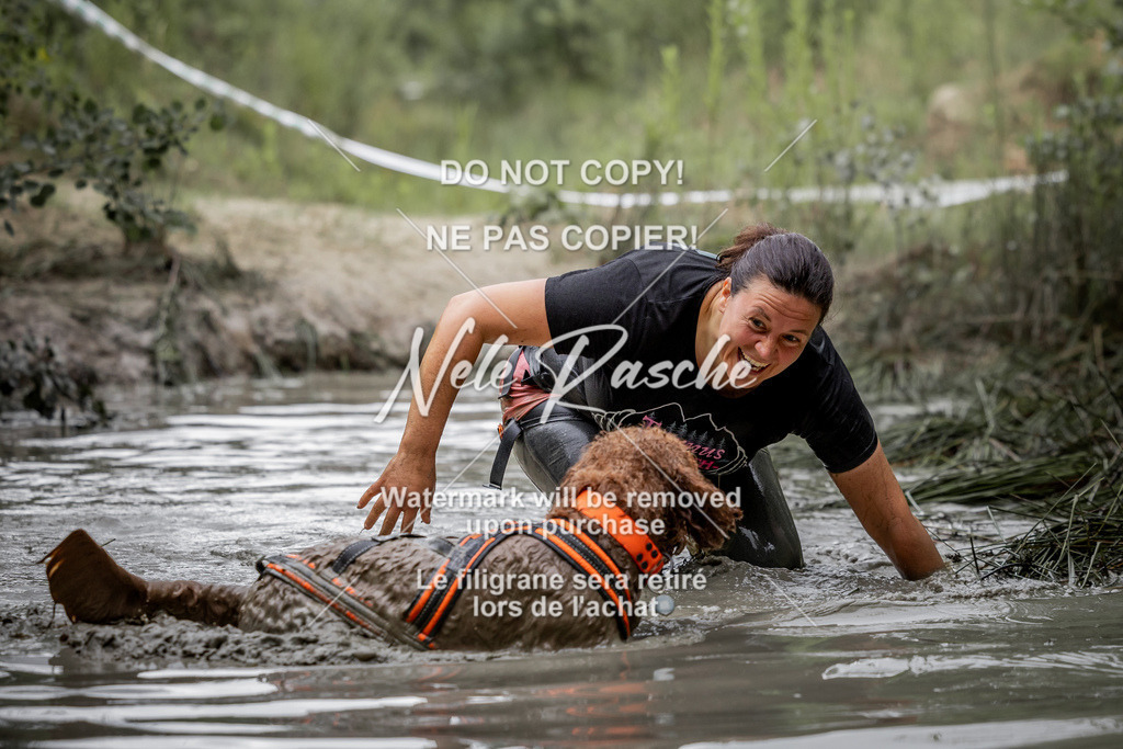 nelerasche_so0800-0930_504 | nelerasche