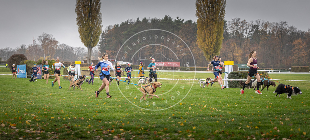 CaniXpix_DV3A8835 | Hundefotografie, Tierfotograf, Pfotenfotografie, Fotoshooting Hund, Hunde Portrait, Hundesport, Hundeportraits, Heideshooting, Hunde, Sportfotograf, Hundefotograf, Turnierhundsport, THS,  - Realisiert mit Pictrs.com
