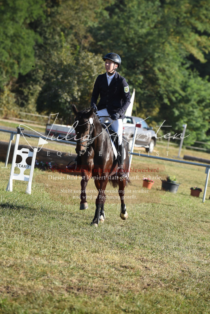 DSC_5066 | Pferde- und Turnierfotografie in Westsachsen. Pferdeportraits, Auftragszeichnungen und intuitive Kunst.