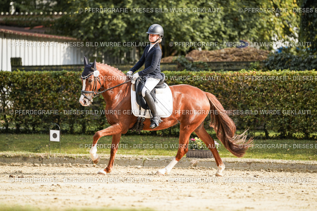 DSC05999 | Pferdegrafie