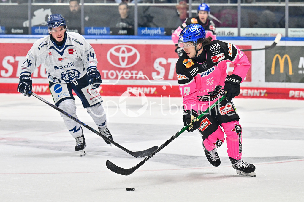 Augsburger Panther - Straubing Tigers | im Duell Travis St. DENIS (Straubing Tigers #74) und Riley DAMIANI (Augsburger Panther #19) / Zweikampf / DEL: Augsburger Panther - Straubing Tigers, Curt Frenzel Stadiom am 20.10.2024