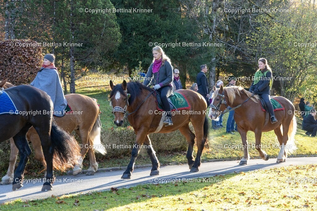 LL24-162 | foto-bettina-krinner - Realisiert mit Pictrs.com