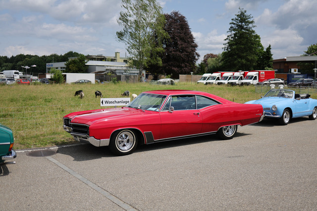 Calag_Oldtimer2025-07 | Ich fotografiere Hundeausstellungen, Sportanlässe, Zuchtstätten, Hundezucht, Hundeportrait, Lagotto - Realisiert mit Pictrs.com